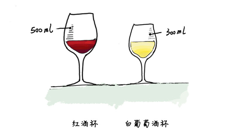 白葡萄酒酒杯.jpg